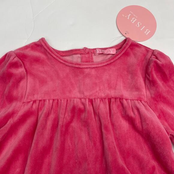 NWT Bisby Size 2 Rose Velour Lisle Dress - Picture 3 of 5